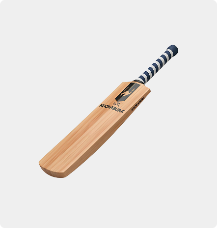 Performance Cricket Bat on a light background
