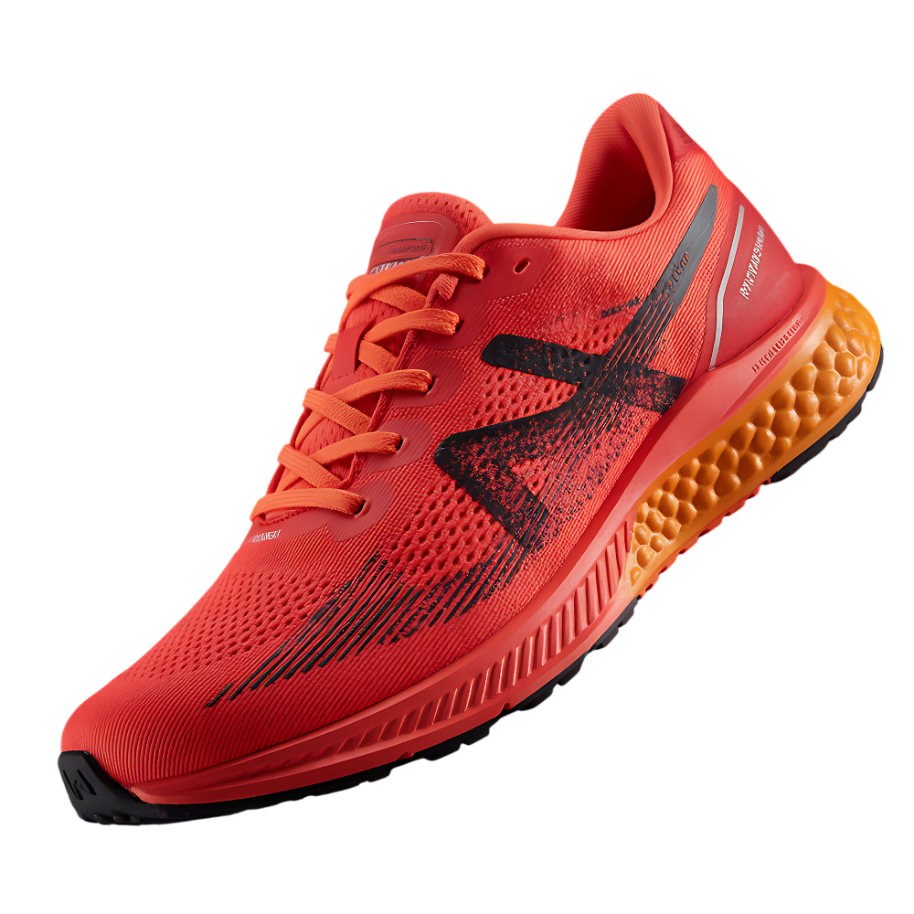 Running shoes or Sneakers for exercising